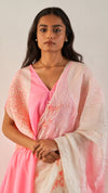Icicle Saree - Pink