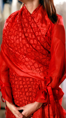  Under the Madder Sky Saree