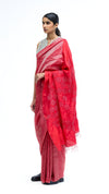 Armour Saree - Red