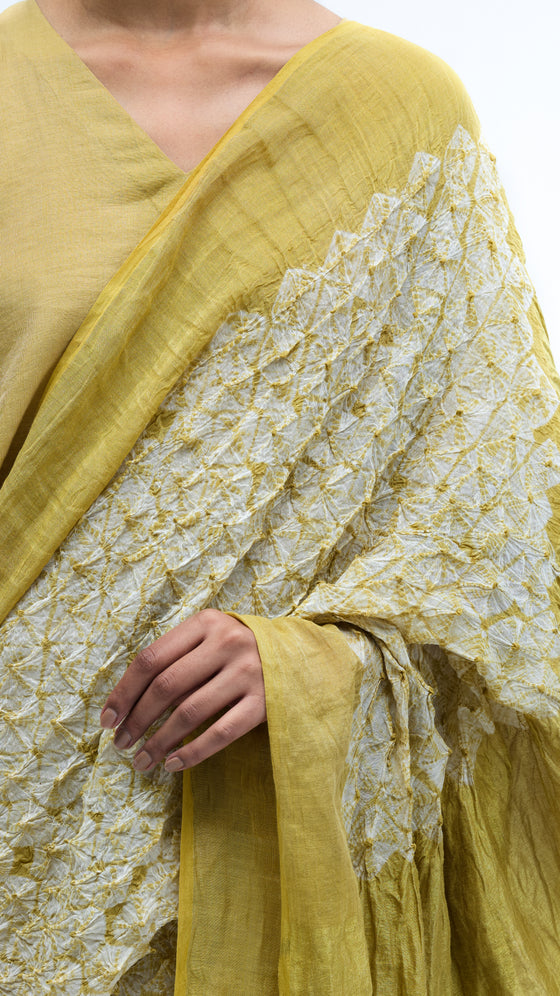 Fields between Light Saree - Lime