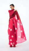 Segment Organza Saree - Red/Fuschia