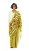 Lateral Saree - Green Shoot