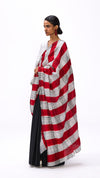 Unrule Saree - Black Red