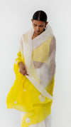 SEGMENT ORGANZA SAREE - WHITE/YELLOW