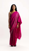 PANORAMA JAMBAN SAREE - MAGENTA