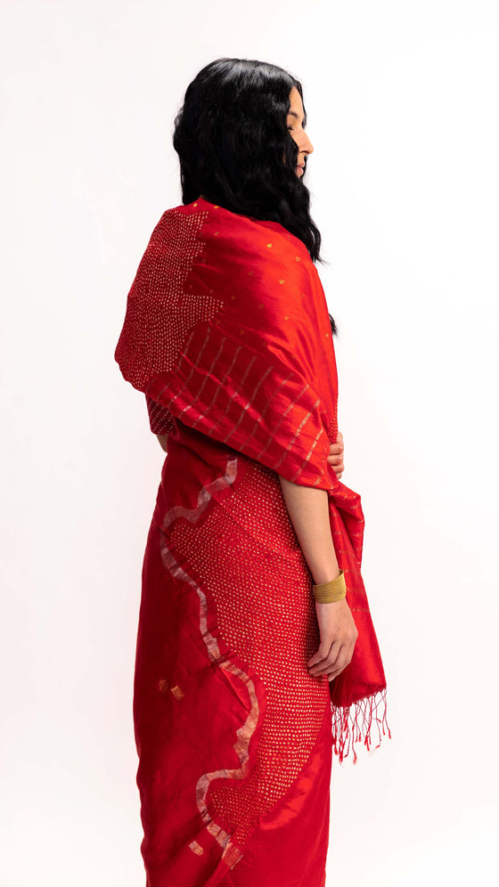 LANDSCAPE JAMBAN SAREE - RED