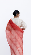 Shore Saree - Ivory/Red