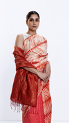 Metallic Sea Saree - Rust